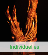 Individuelles